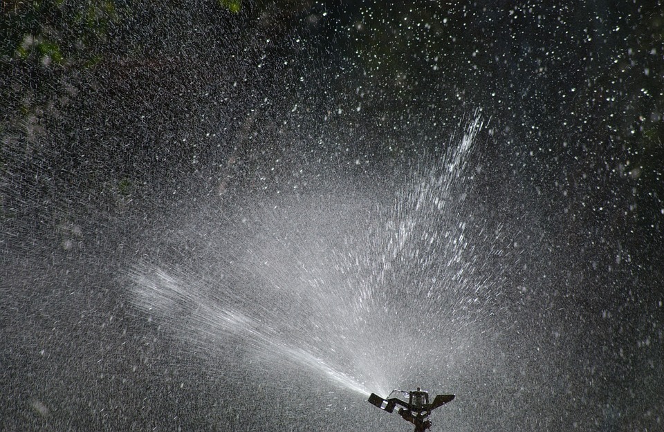 Set Your Sprinklers – Yep, Even in the Winter!